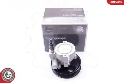 Hidrosūknis, Stūres iekārta ESEN SKV 10SKV207