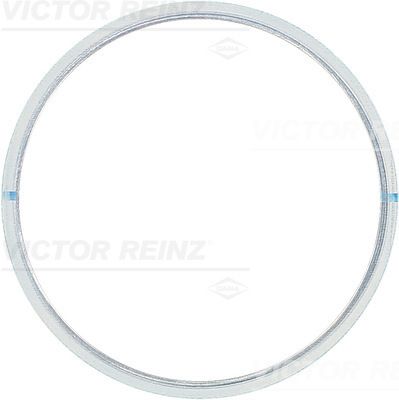 Tarpiklis, cilindro galva VICTOR REINZ 61-21925-00