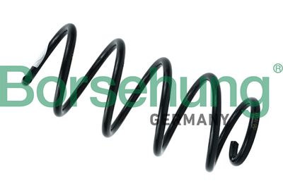 Пружина ходовой части BORSEHUNG B12625