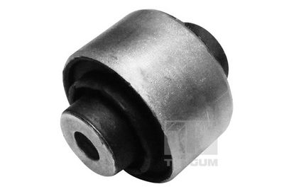 Piekare, Šķērssvira TEDGUM 00726184