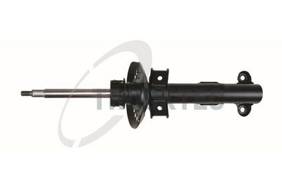 Amortizators TRUCKTEC AUTOMOTIVE 02.30.295