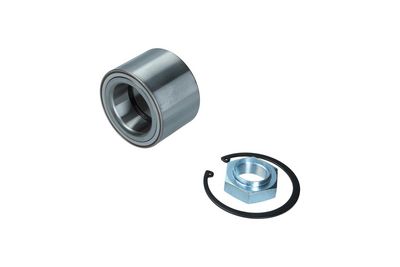 Комплект подшипника ступицы колеса KAMOKA 5600121