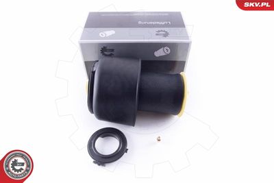 Pneimoatspere, Balstiekārta ESEN SKV 58SKV026