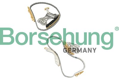 Комплект цели привода распредвала BORSEHUNG B18844