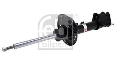 Amortizators FEBI BILSTEIN 1002493