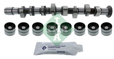 Комплект распредвала Schaeffler INA 428 0051 30