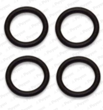 Комплект прокладок, впускной коллектор PAYEN HA5031