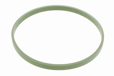 Blīve, Droseļvārsta īscaurule VEMO V20-81-0046