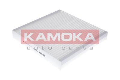  KAMOKA F406901