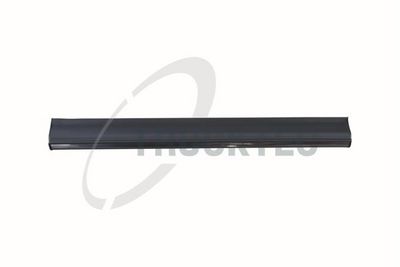 Apdare-/Aizsarguzlika, Durvis TRUCKTEC AUTOMOTIVE 02.52.111