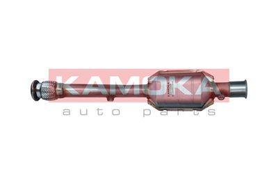 Катализатор KAMOKA 8015006