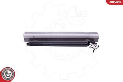 Электромотор, задняя дверь ESEN SKV 52SKV941