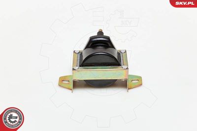 Катушка зажигания ESEN SKV 03SKV119