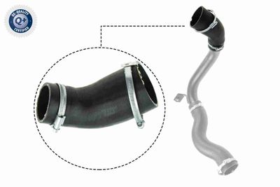 Трубка нагнетаемого воздуха VAICO V25-1029