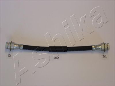 ASHIKA 6909961 Kronšteins, Bremžu šļauka