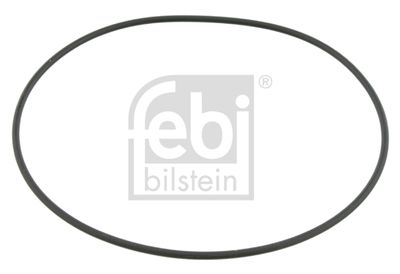 Blīvgredzens, Riteņa rumba FEBI BILSTEIN 14692
