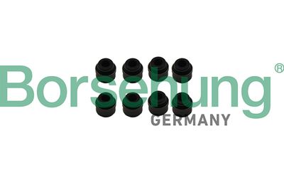 Уплотнительное кольцо, стержень клапана BORSEHUNG B19239
