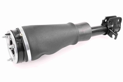 Pneimoatsperes statnis VEMO V48-50-0001