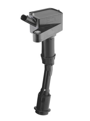 Aizdedzes spole BorgWarner (BERU) ZS620