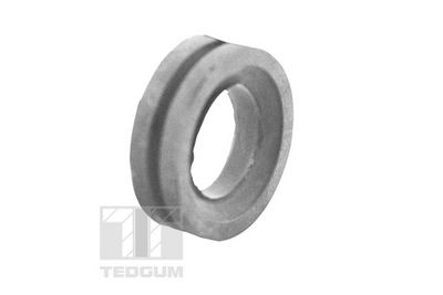 Piekare, Šķērssvira TEDGUM 00414977