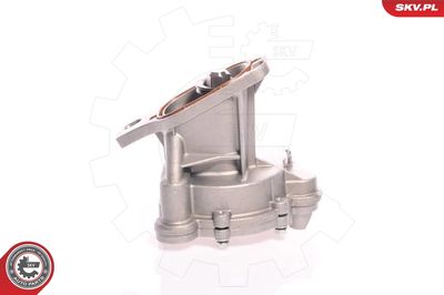 Vakuumsūknis, Bremžu sistēma ESEN SKV 18SKV006