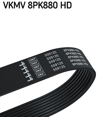 Ķīļrievu siksna SKF VKMV 8PK880 HD
