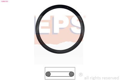 Прокладка, термостат EPS 1.890.753