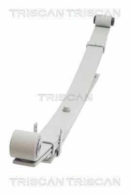 Многолистовая рессора TRISCAN 876 543 004