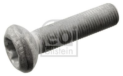 Skrūve FEBI BILSTEIN 102234