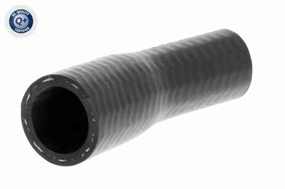 Шланг радиатора VAICO V203349