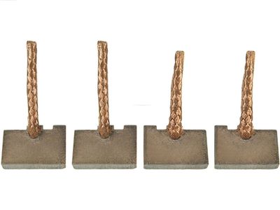 Ogļu sukas, Starteris AS-PL SB0010S