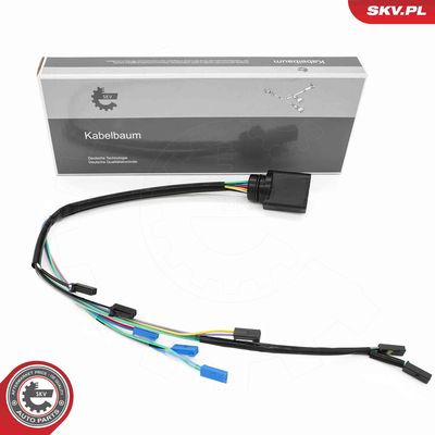 Pārslēdzējvārsts, Automātiskā pārnesumkārba ESEN SKV 53SKV027