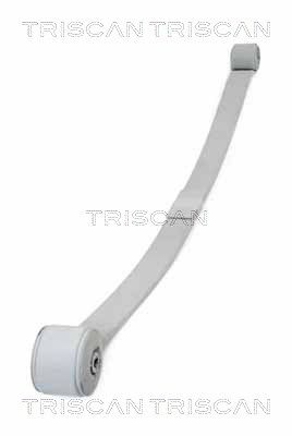 Многолистовая рессора TRISCAN 876 516 045
