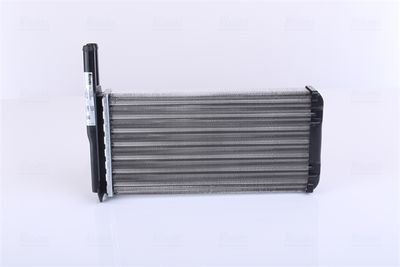 Siltummainis, Salona apsilde NISSENS 71755