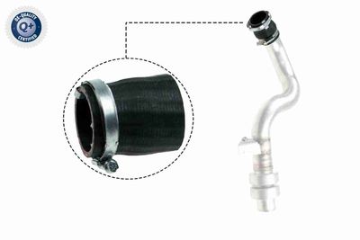 Трубка нагнетаемого воздуха VAICO V48-0192