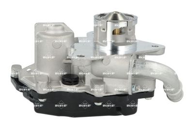 Клапан возврата ОГ NRF 48743