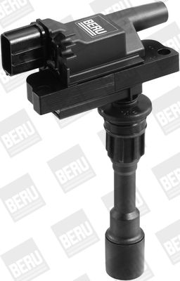 Aizdedzes spole BorgWarner (BERU) ZSE084