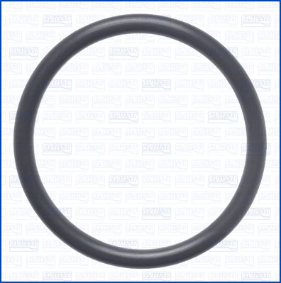 Blīve, Termostats AJUSA 16133100