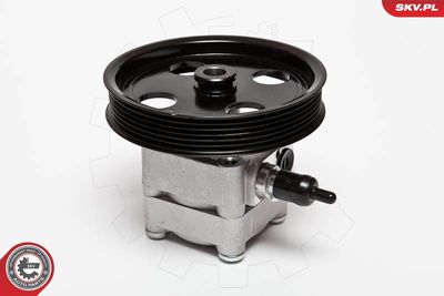 Гидравлический насос, рулевое управление ESEN SKV 10SKV074