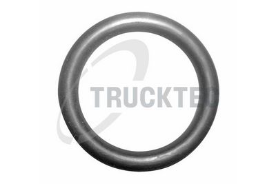 Blīve, Dzesēšanas šķidruma flancis TRUCKTEC AUTOMOTIVE 08.10.041