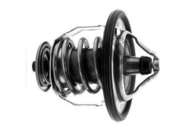 Термостат, охлаждающая жидкость HEPU TM1289