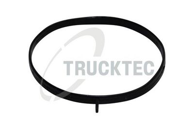 Blīve, Ieplūdes kolektora korpuss TRUCKTEC AUTOMOTIVE 02.16.058
