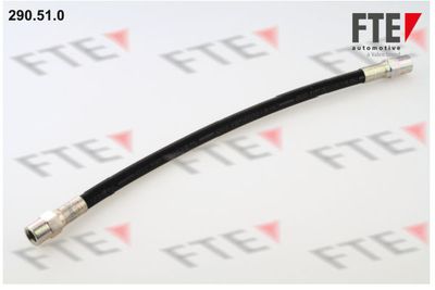 Тормозной шланг FTE 9240141