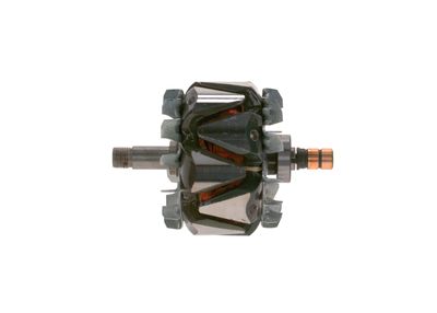 Rotors, Ģenerators BOSCH F 00M 131 688