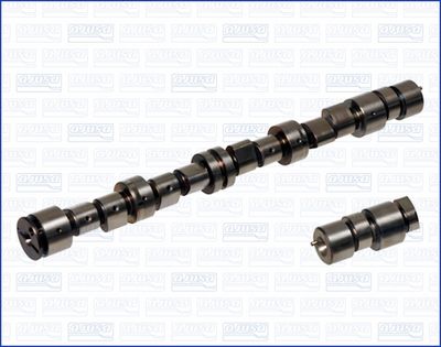 Sadales vārpsta AJUSA 93008300