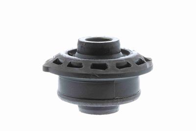 Piekare, Šķērssvira VAICO V22-0234