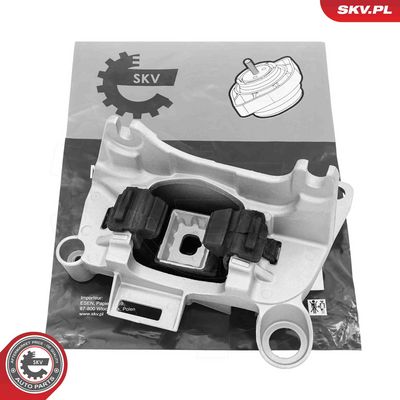 Piekare, Dzinējs ESEN SKV 75SKV169