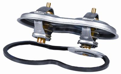 Termostats, Dzesēšanas šķidrums BorgWarner (Wahler) 4223.75D