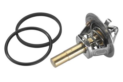 Termostats, Dzesēšanas šķidrums BorgWarner (Wahler) 410779.88D