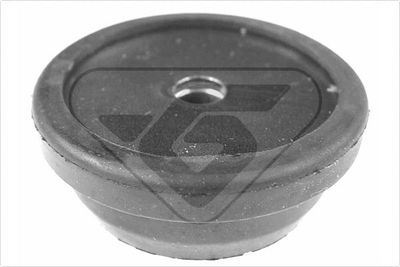 Remkomplekts, Amortizatora statnes balsts HUTCHINSON KS 152